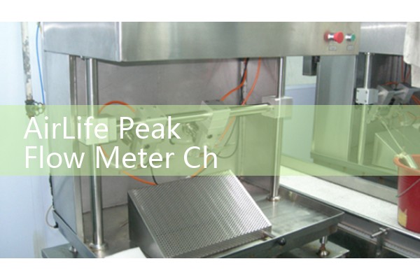AirLife Peak Flow Meter Chart: Expected Expiratory Targets by Demographic